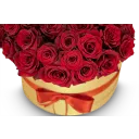 Box červených růží